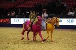 Quadrille - 00440